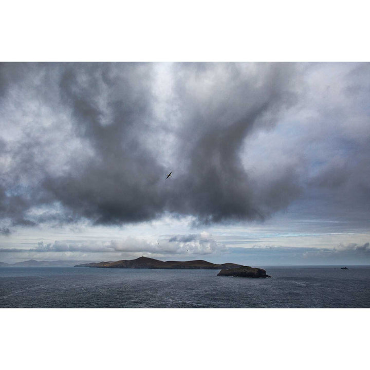 Dursey Island & Gannet, Co. Cork