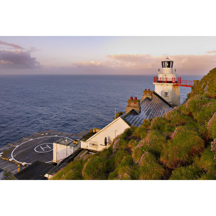 Sea Pink, the Bull Rock Lighthouse, Co. Cork