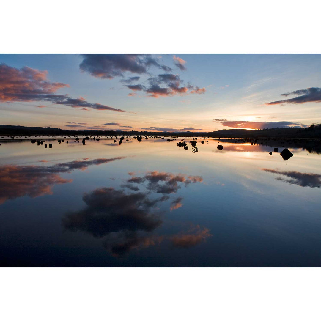 Sunset, the Gearagh, Co. Cork