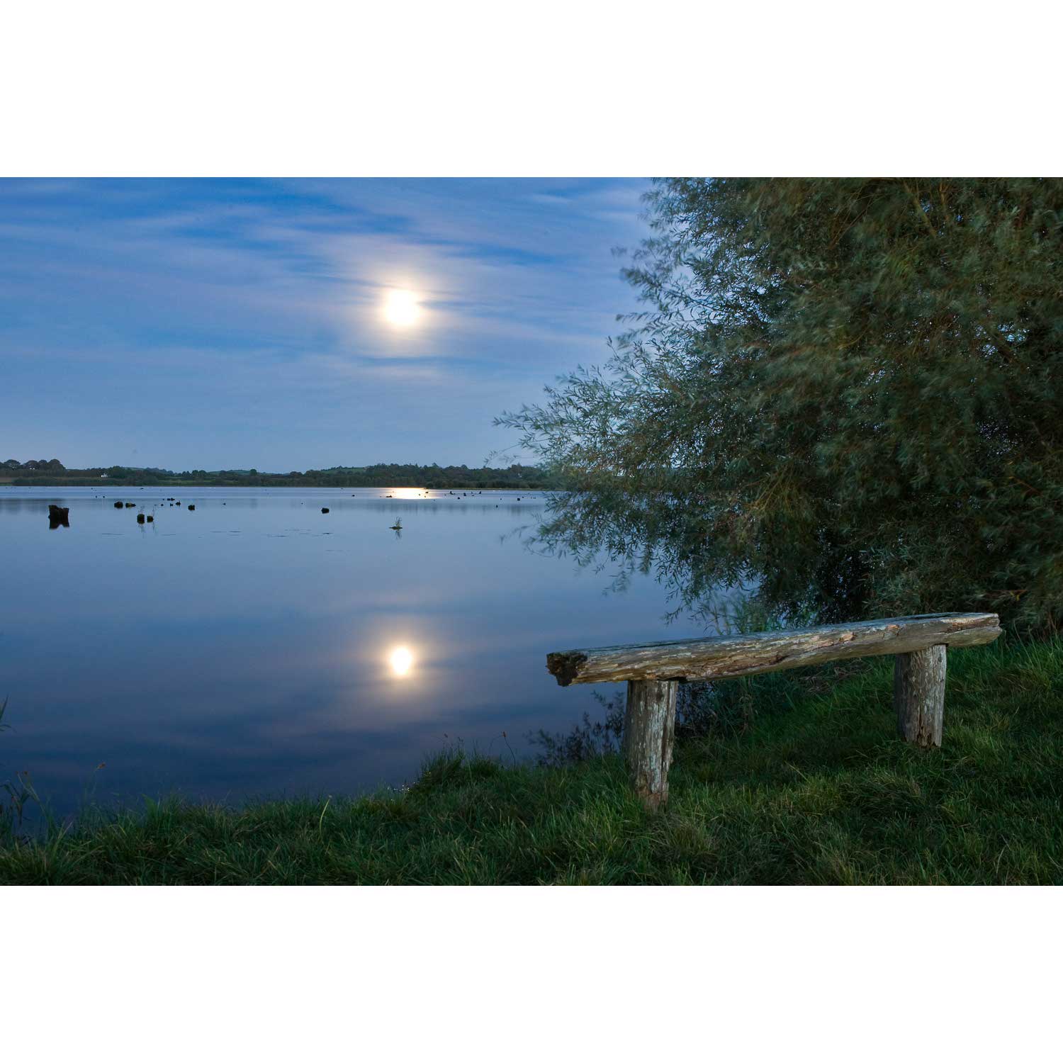 The Gearagh, Co. Cork