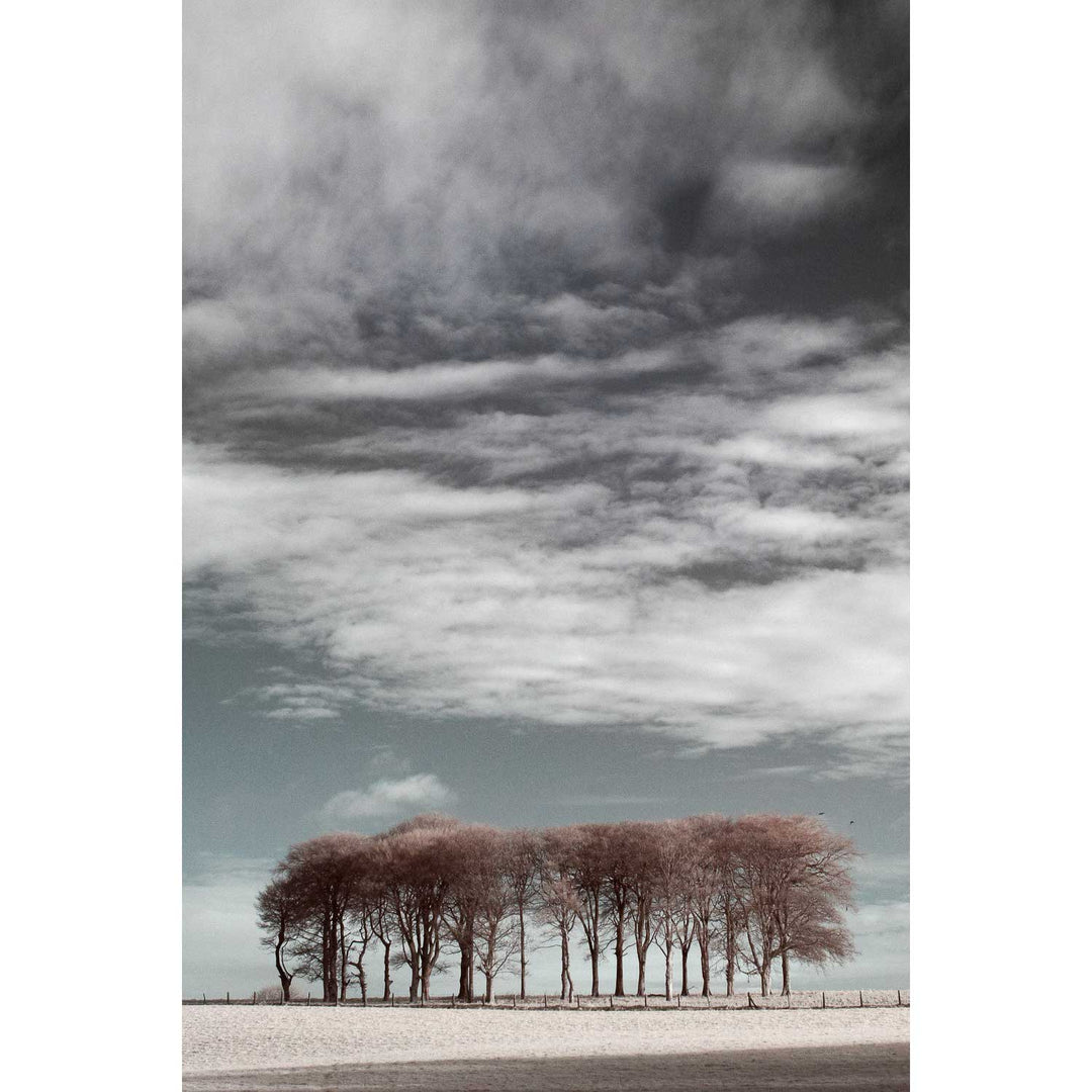 Waiting for the Spring, Co. Cork