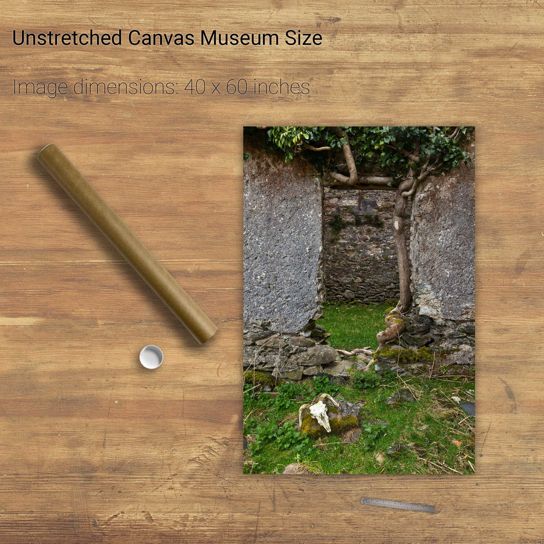 Skull and Door, Black Valley, Co. Kerry