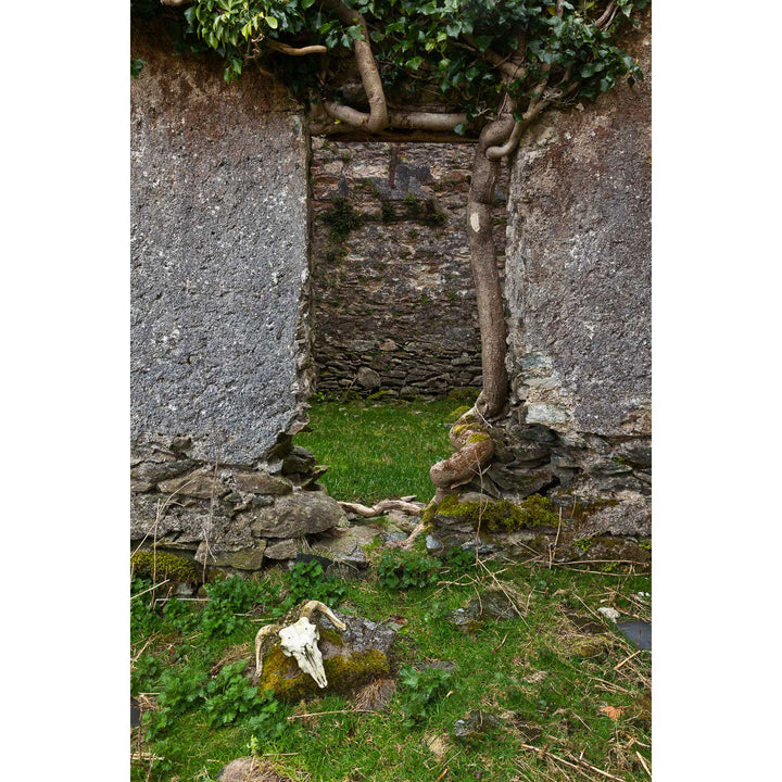 Skull and Door, Black Valley, Co. Kerry