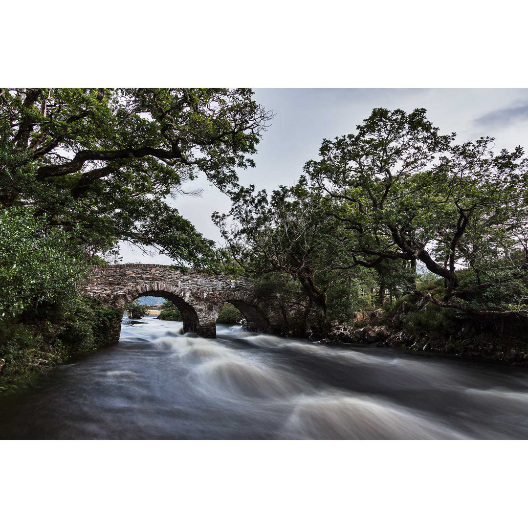 The Meeting of the Waters, Killarney, Co. Kerry