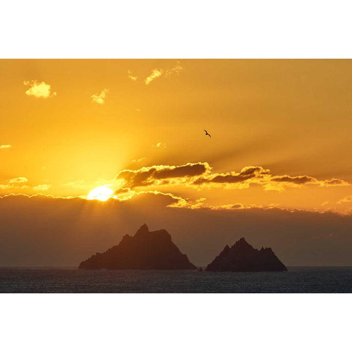 Skelligs Sunset, Co. Kerry