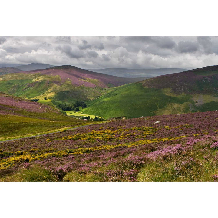 Wicklow Mountains