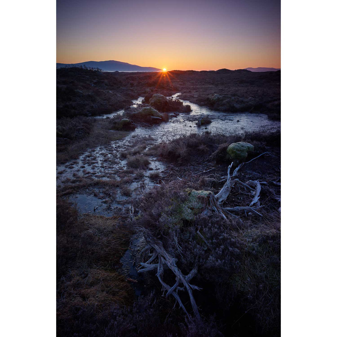 Sunrise, Rannoch Moor, Scotland